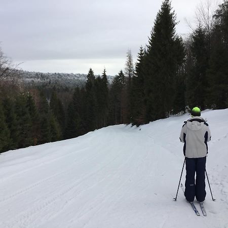 Pokoje Goscinne Vida Krynica-Zdrój Exterior foto