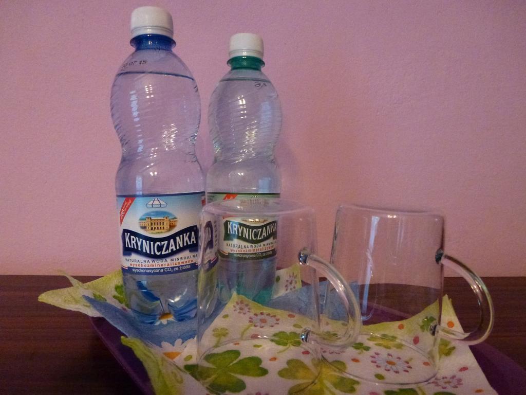Pokoje Goscinne Vida Krynica-Zdrój Habitación foto