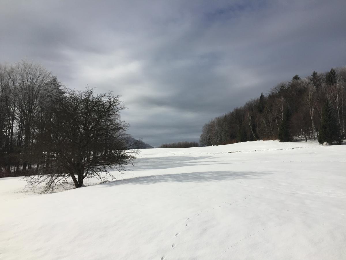 Pokoje Goscinne Vida Krynica-Zdrój Exterior foto